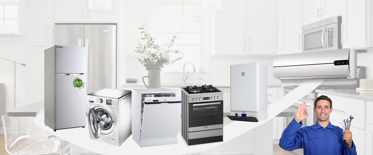 Düziçi Smeg Servisi